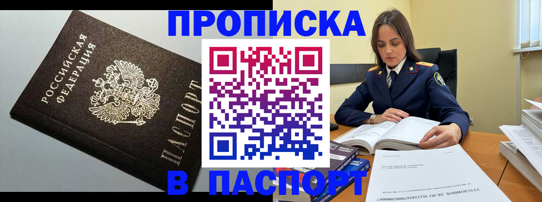 временная регистрация для школы в Петропавловске-Камчатском